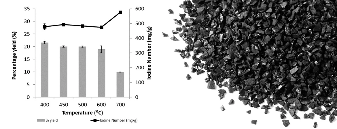 Granular Activated Carbon: A Key Media in Water Treatment Plants