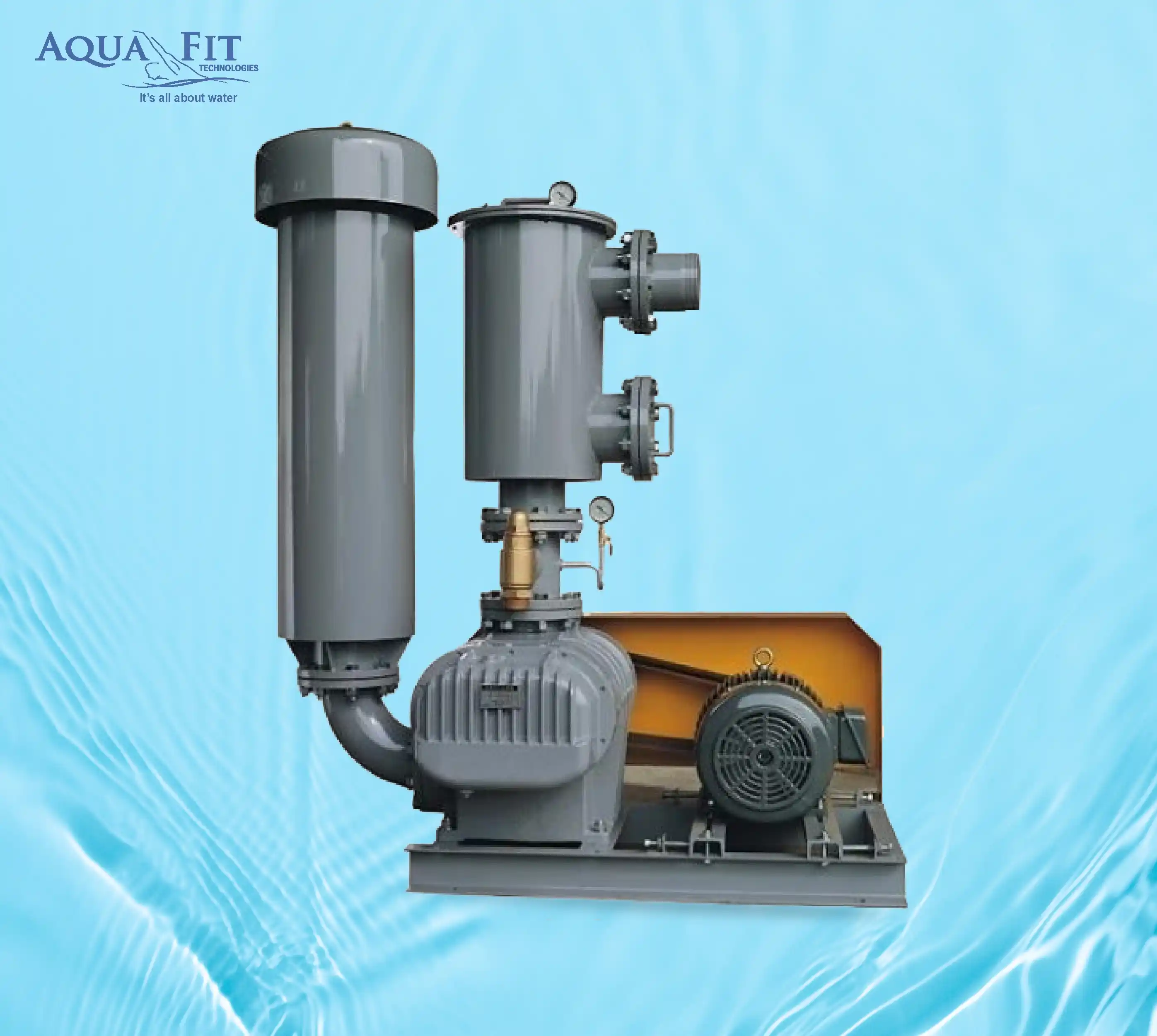 Industrial Roots Blower Vacuum Pump