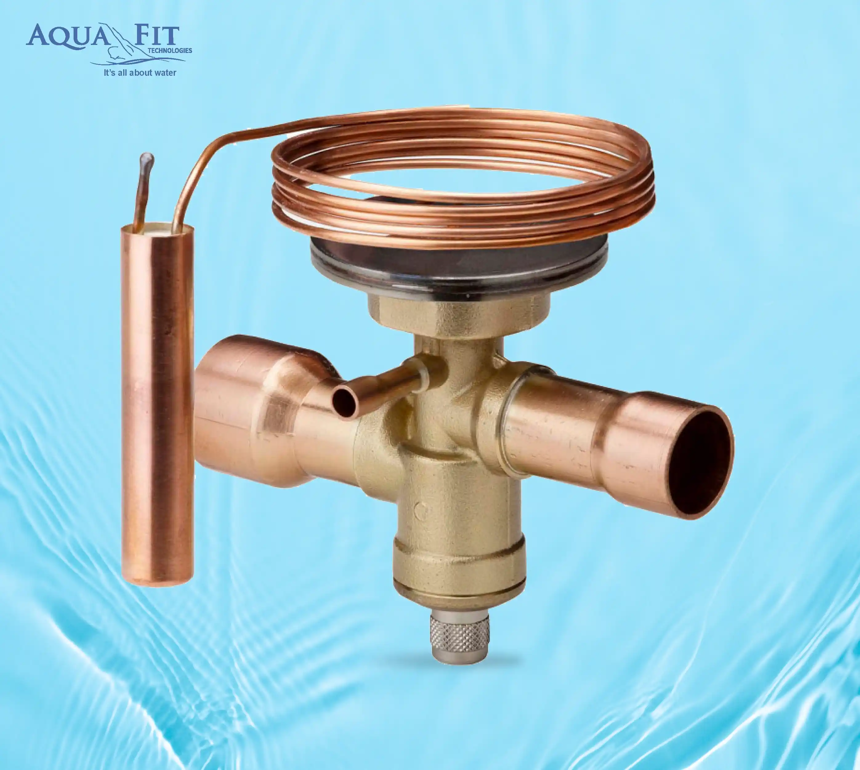 Thermostatic Expansion Valve