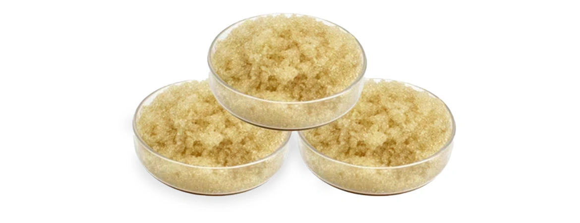 Ion Exchange Resin: A Comprehensive Guide