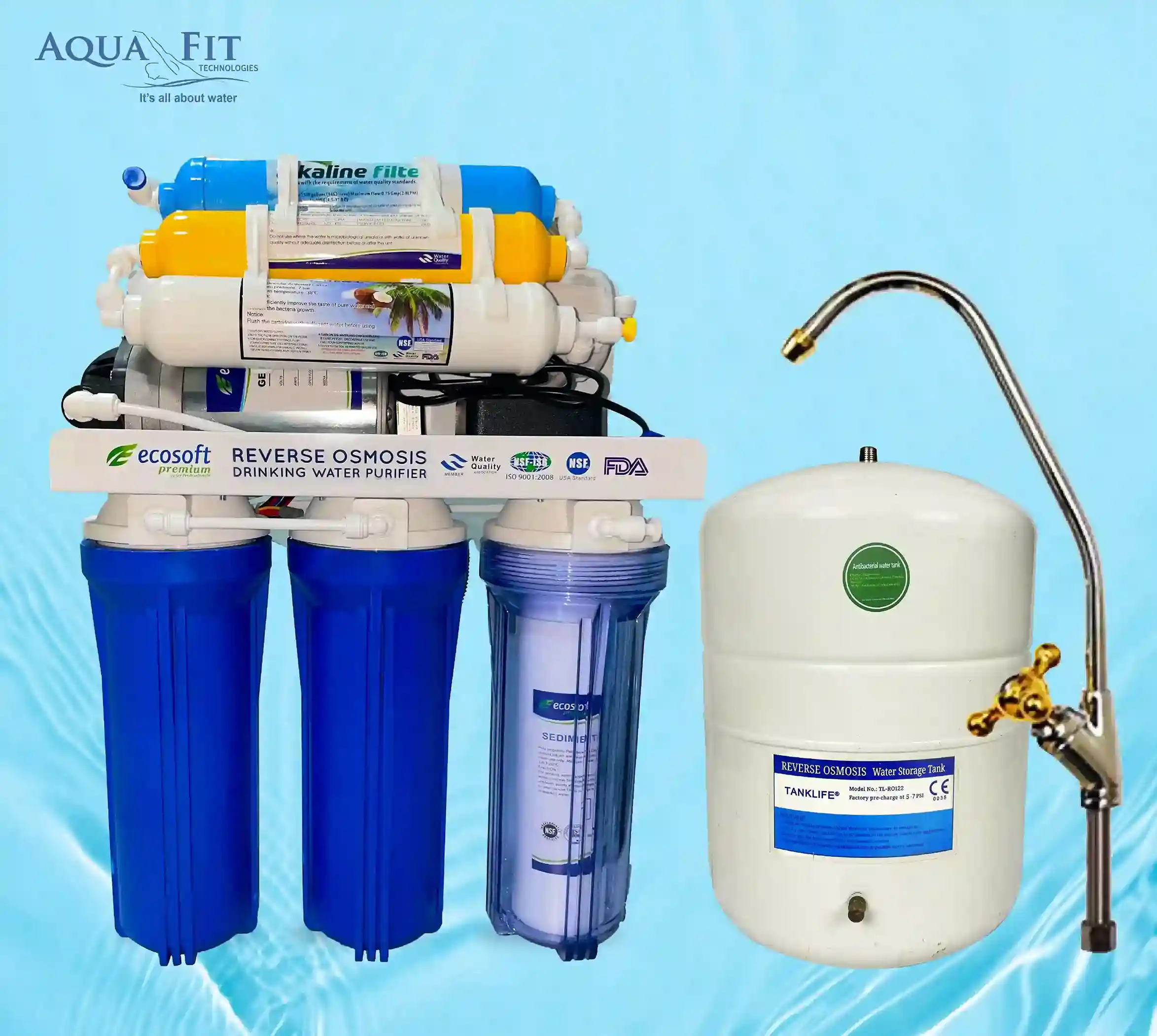 Ecosoft Reverse Osmosis (RO) Drinking Water Purifier