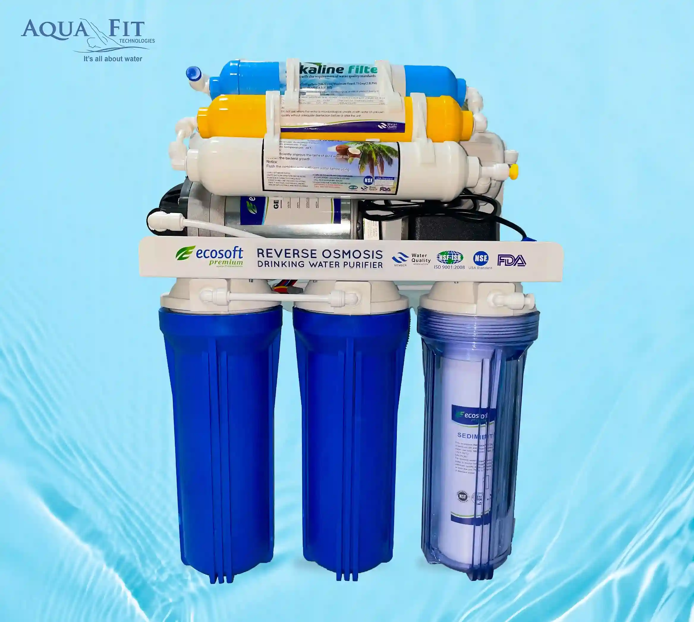 Ecosoft Reverse Osmosis (RO) Drinking Water Purifier