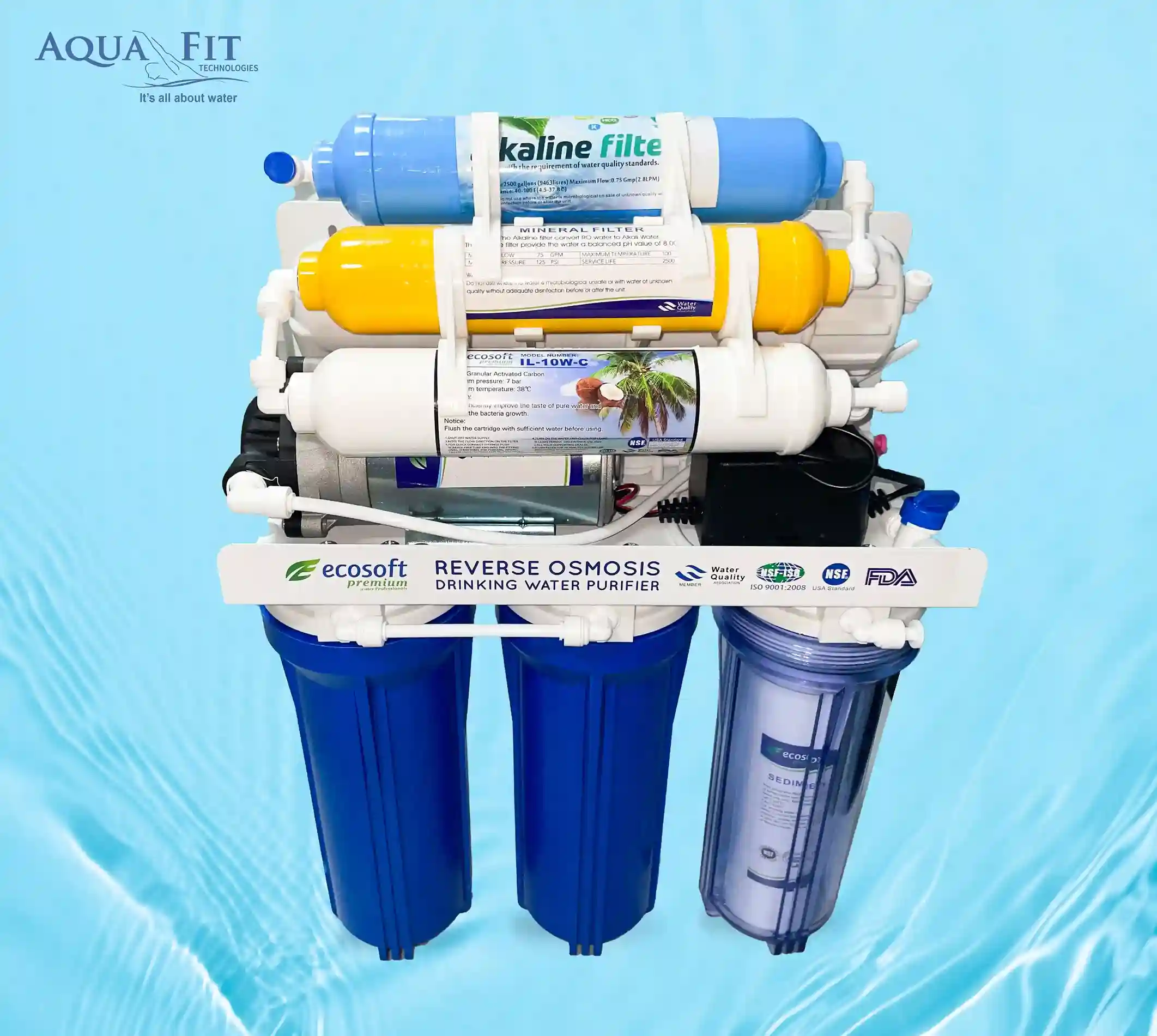 Ecosoft Reverse Osmosis (RO) Drinking Water Purifier