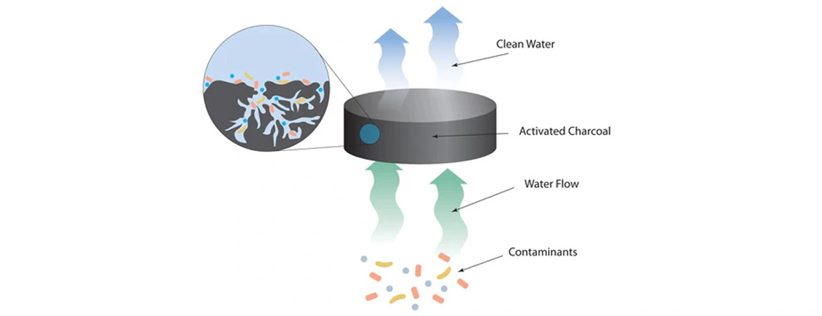 Water Softening vs. Water Purification: What’s the Difference?