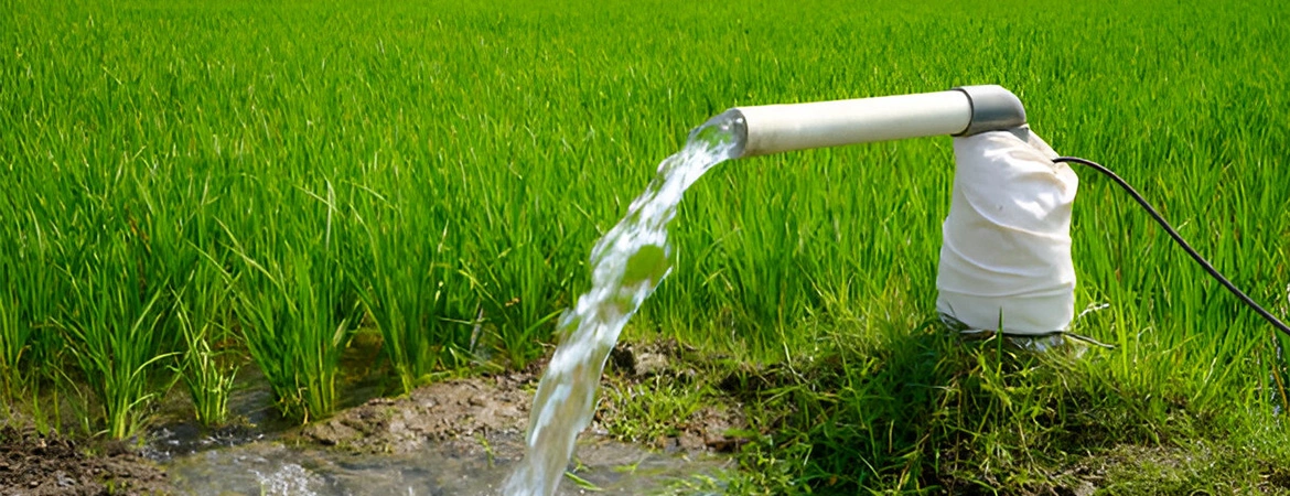 The Impact of Water Treatment on Agricultural Efficiency