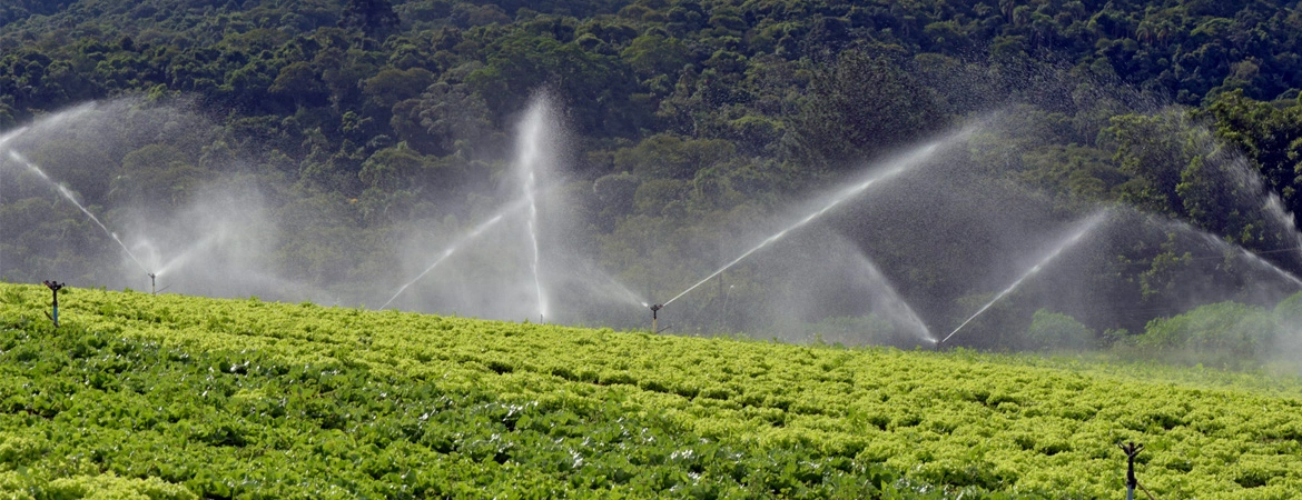 The Impact of Water Treatment on Agricultural Efficiency