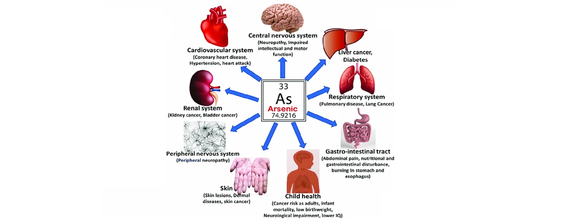 Arsenic Removal from Drinking Water: Techniques and Solutions for Safer Water