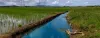 Best Management Practices (BMPs) for Water Pollution Control: Strategies for a Cleaner Environment