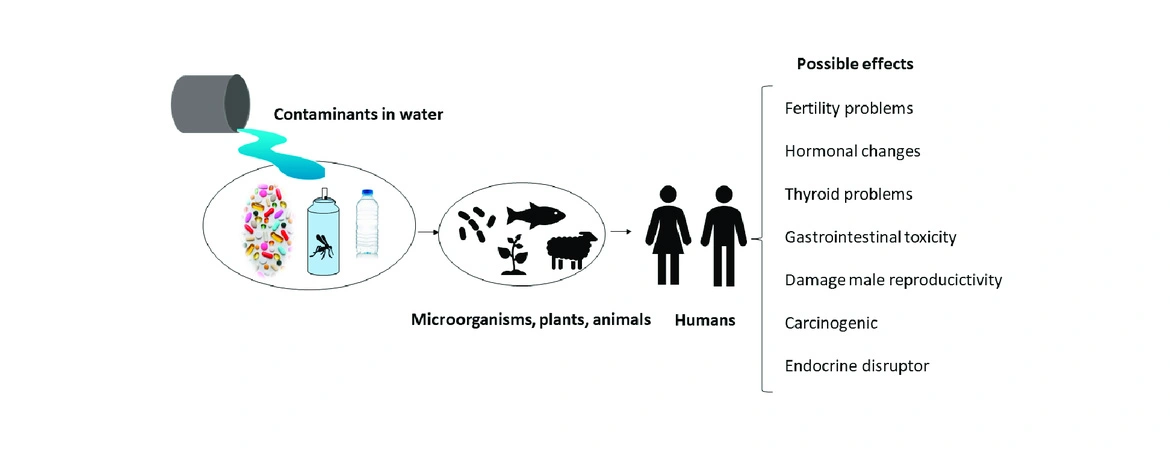 Emerging Contaminants in Water: Understanding Risks and Solutions