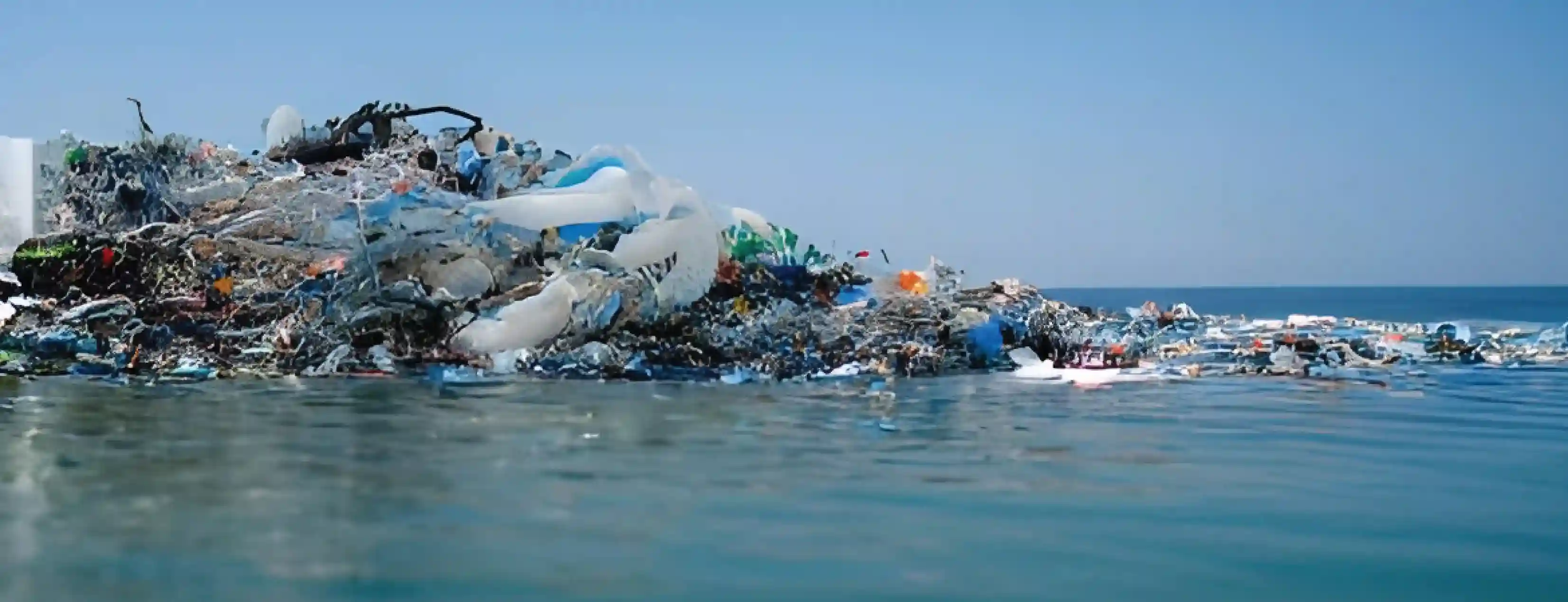 Marine Pollution and Its Impact on Ecosystems: A Call for Action