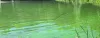 Harmful Algal Blooms (HABs) and Water Quality: Understanding and Mitigating the Threat