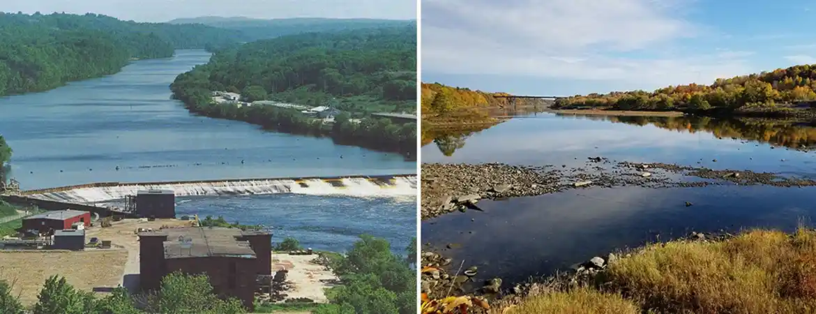 Impact of Dams on River Ecosystems: Balancing Development and Environmental Health