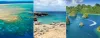 Coral Reef Protection and Water Quality: A Vital Connection