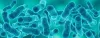 Microbial Contamination in Drinking Water: Causes, Risks, and Prevention