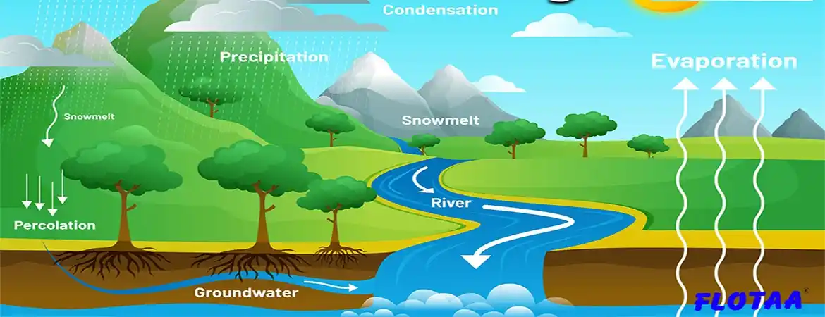 Watershed Management Strategies: Sustaining Water Resources and Ecosystems