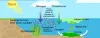 Eutrophication in Water Bodies: Causes, Impacts, and Mitigation