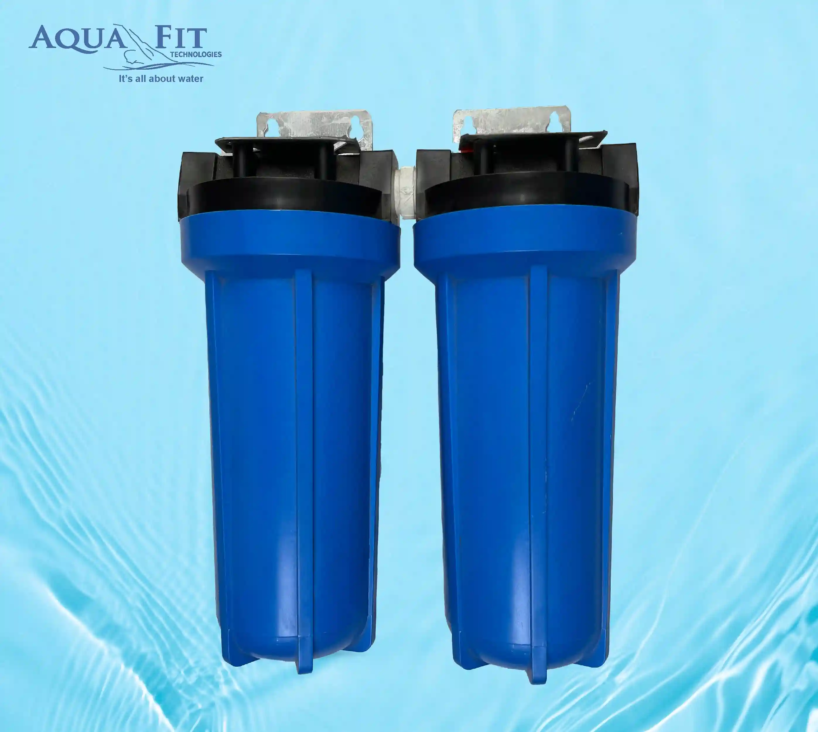 10 Inch Blu Housing Filter 3/4 Inch Line