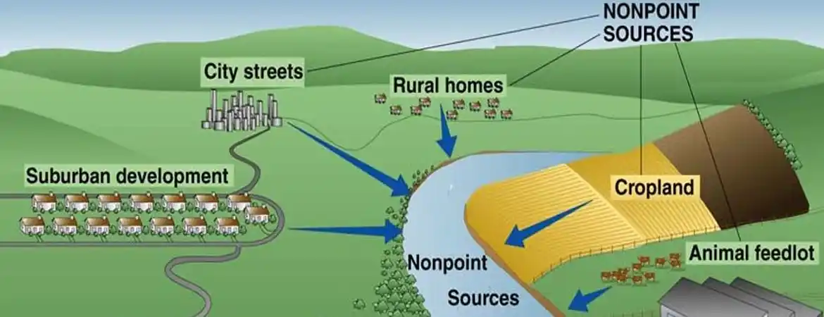 Point and Non-Point Source Pollution: Key Differences and Management Strategies