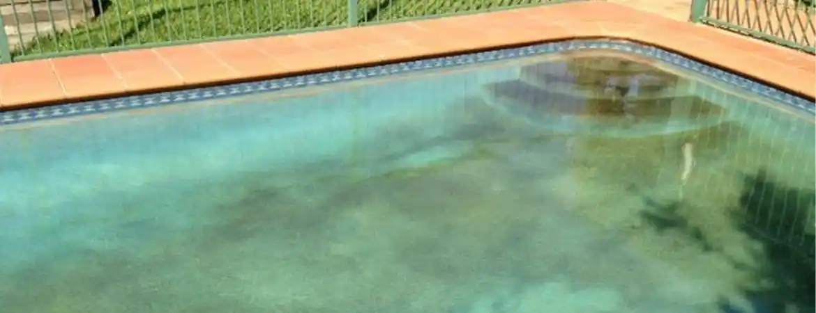 How to Address Common Swimming Pool Water Quality Issues