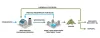 How New Technologies Are Improving Effluent Treatment