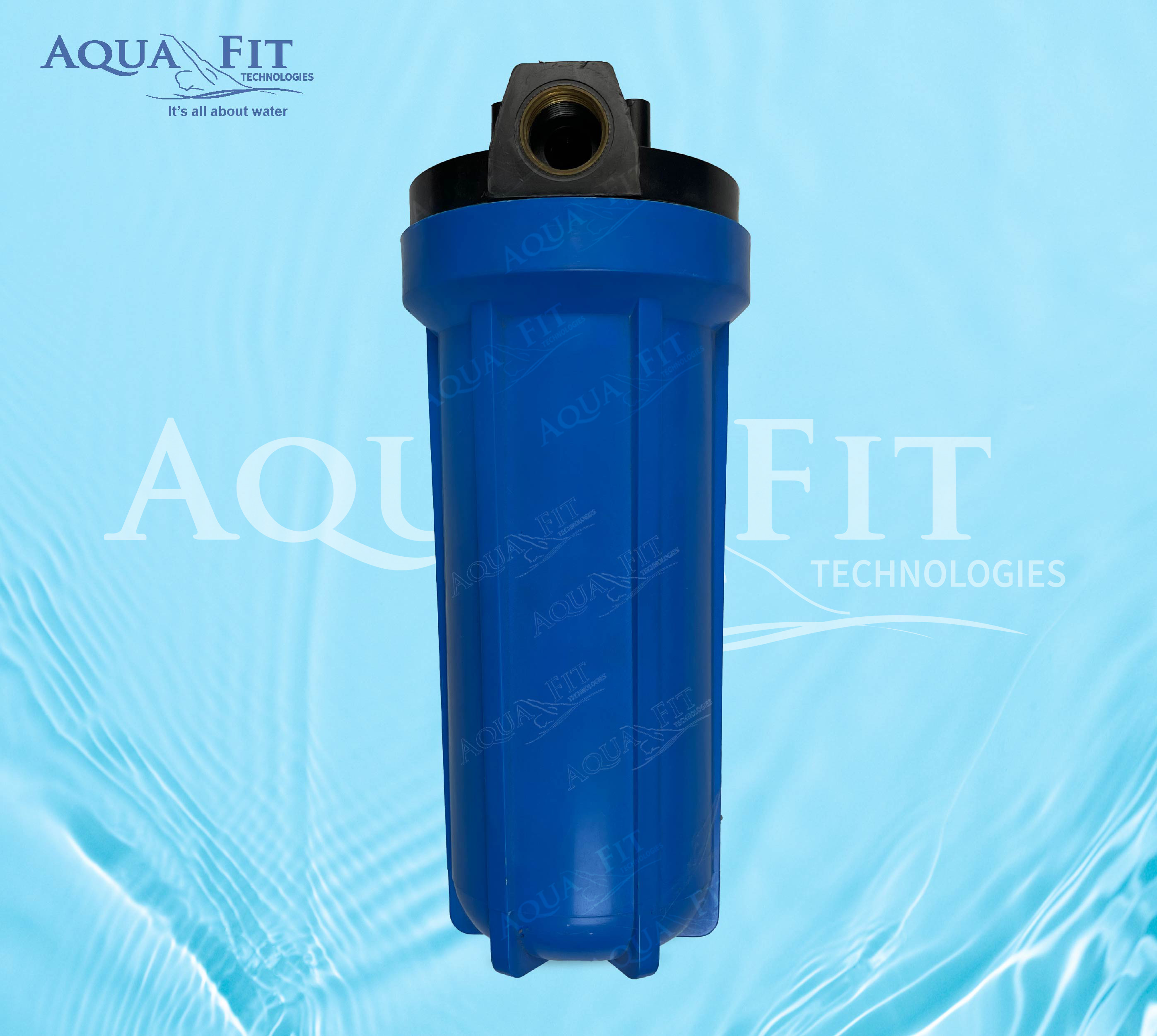 1/4" Inlet/Outlet Clean Water Filter Housing