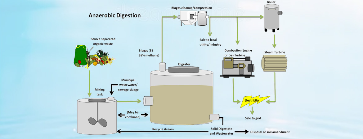 Understanding Sewage Treatment Plants: Ensuring Clean Water for Our Communities