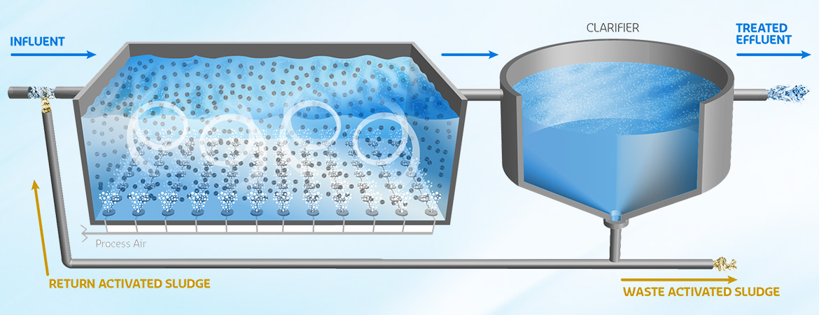 Understanding Sewage Treatment Plants: Ensuring Clean Water for Our Communities