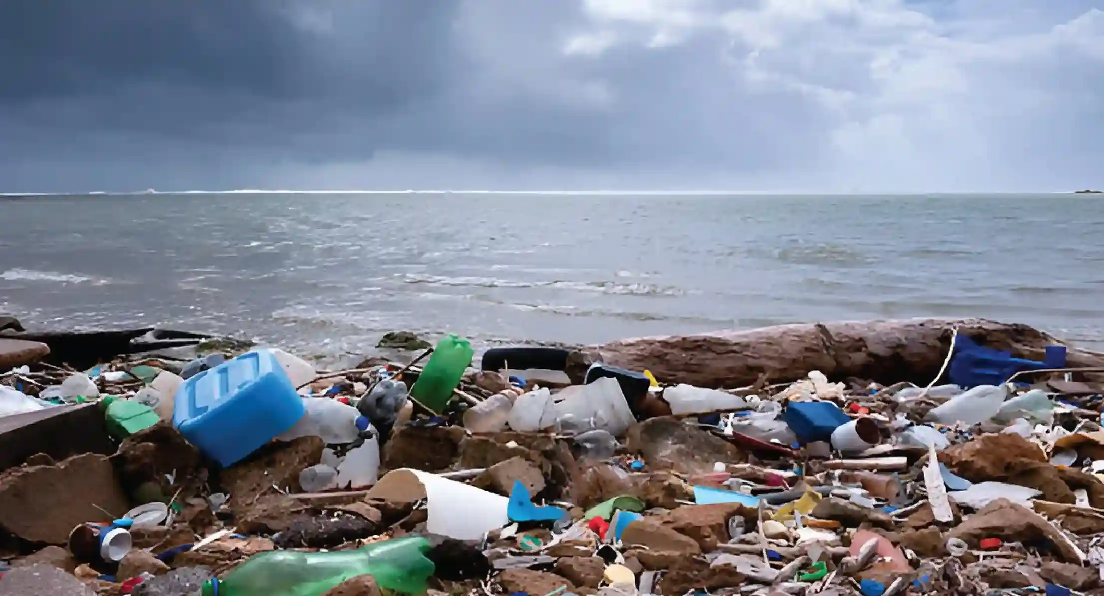 Marine Pollution and Its Impact on Ecosystems: A Call for Action