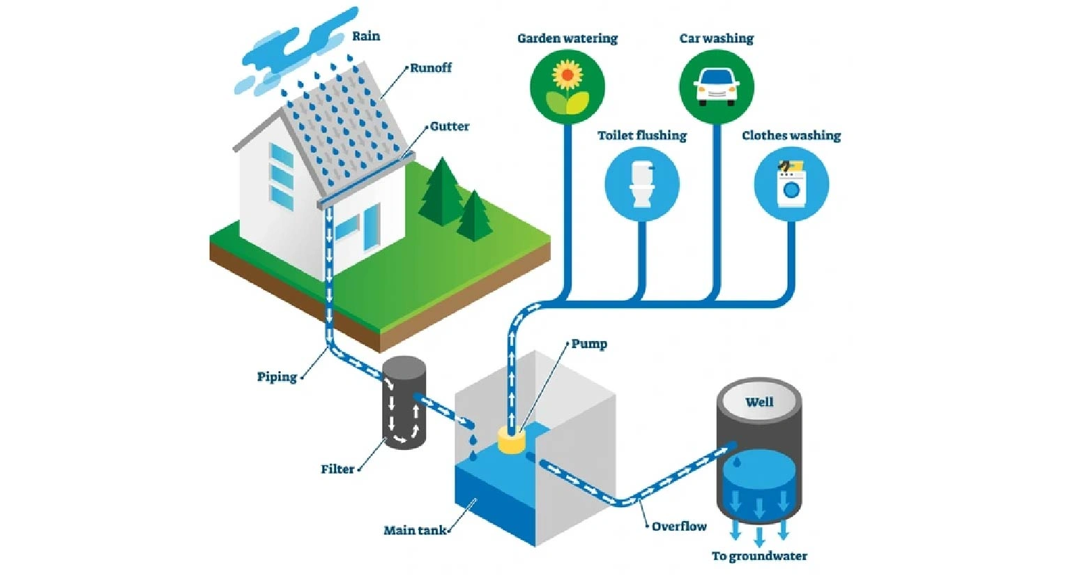 Rainwater Harvesting Systems: A Sustainable Solution for Water Management