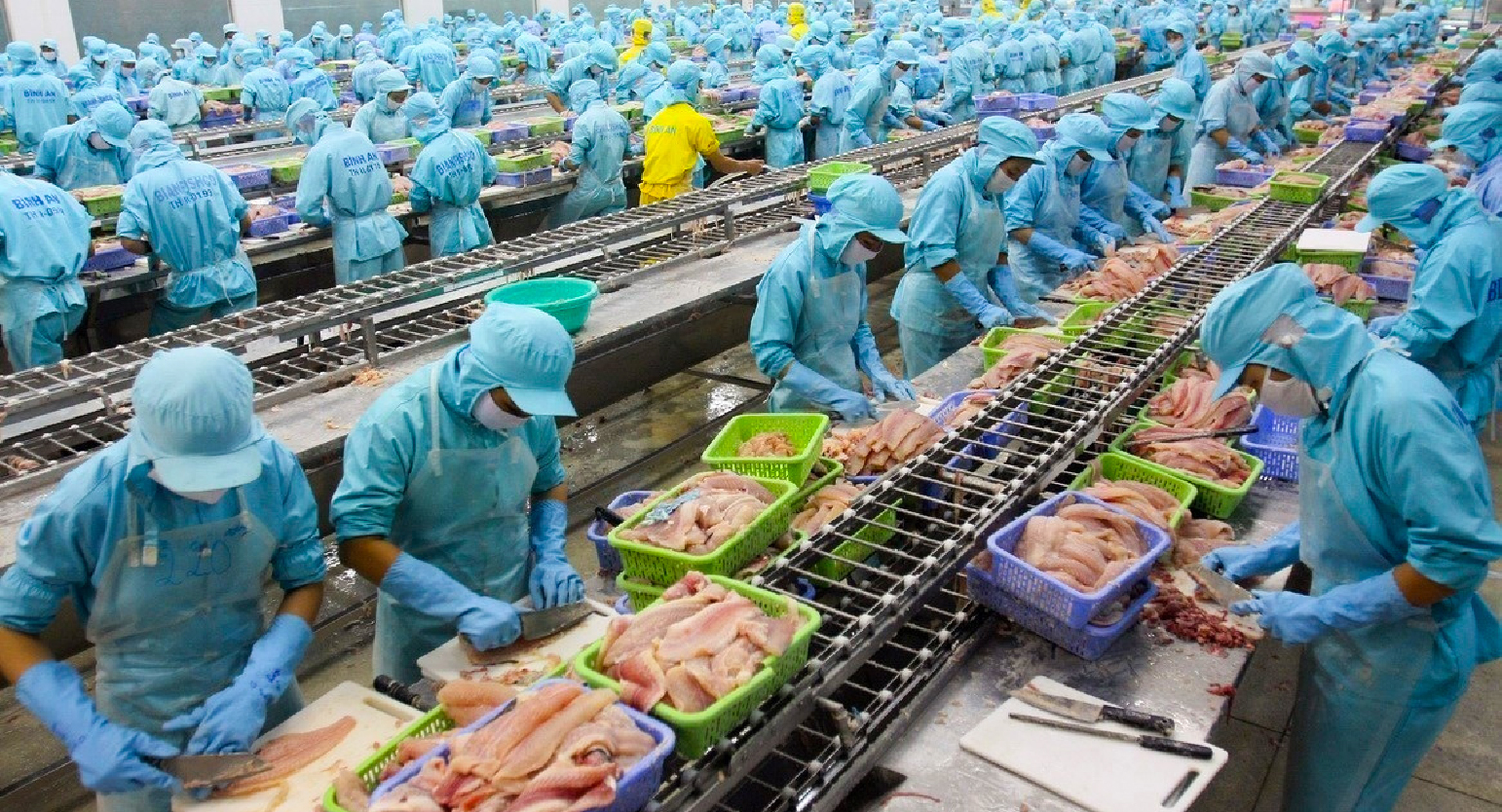 Food and fish Processing Plant