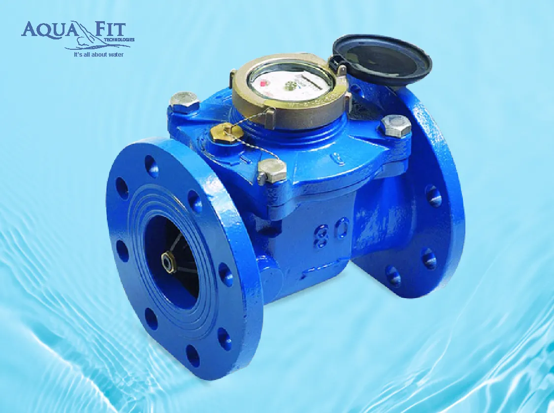 Flanged Water Flow Meter 3 Inch , CWFA 80