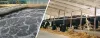 The Essential Guide to Effluent Treatment Plants: Protecting Our Environment and Meeting Regulatory Standards