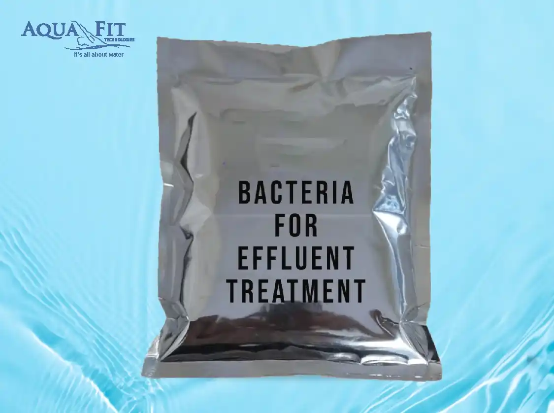 Bacteria For Effluent Treatment