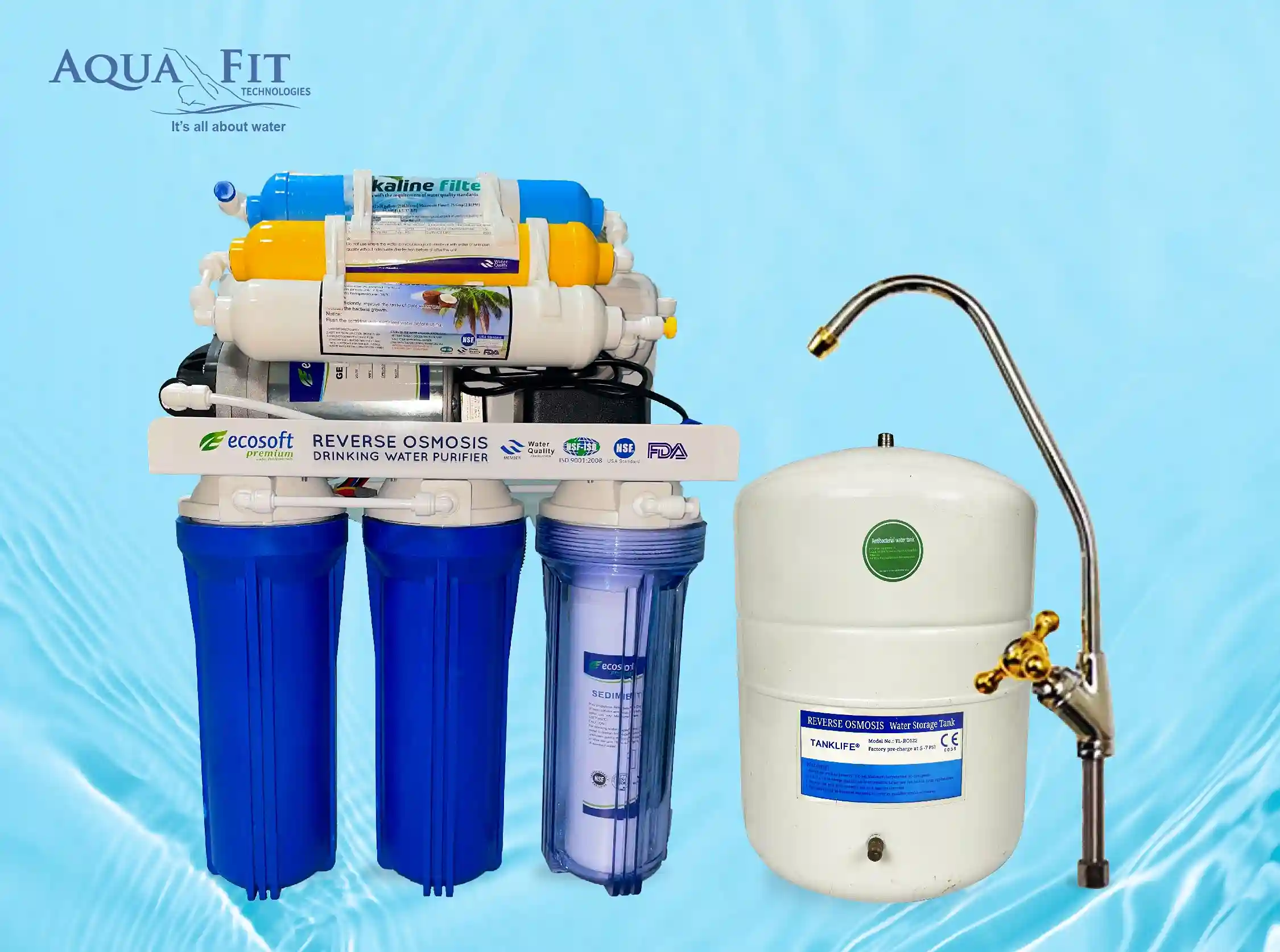 Ecosoft RO Water Purifier