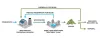 Desalination Brine Disposal Methods: Addressing Environmental and Operational Challenges