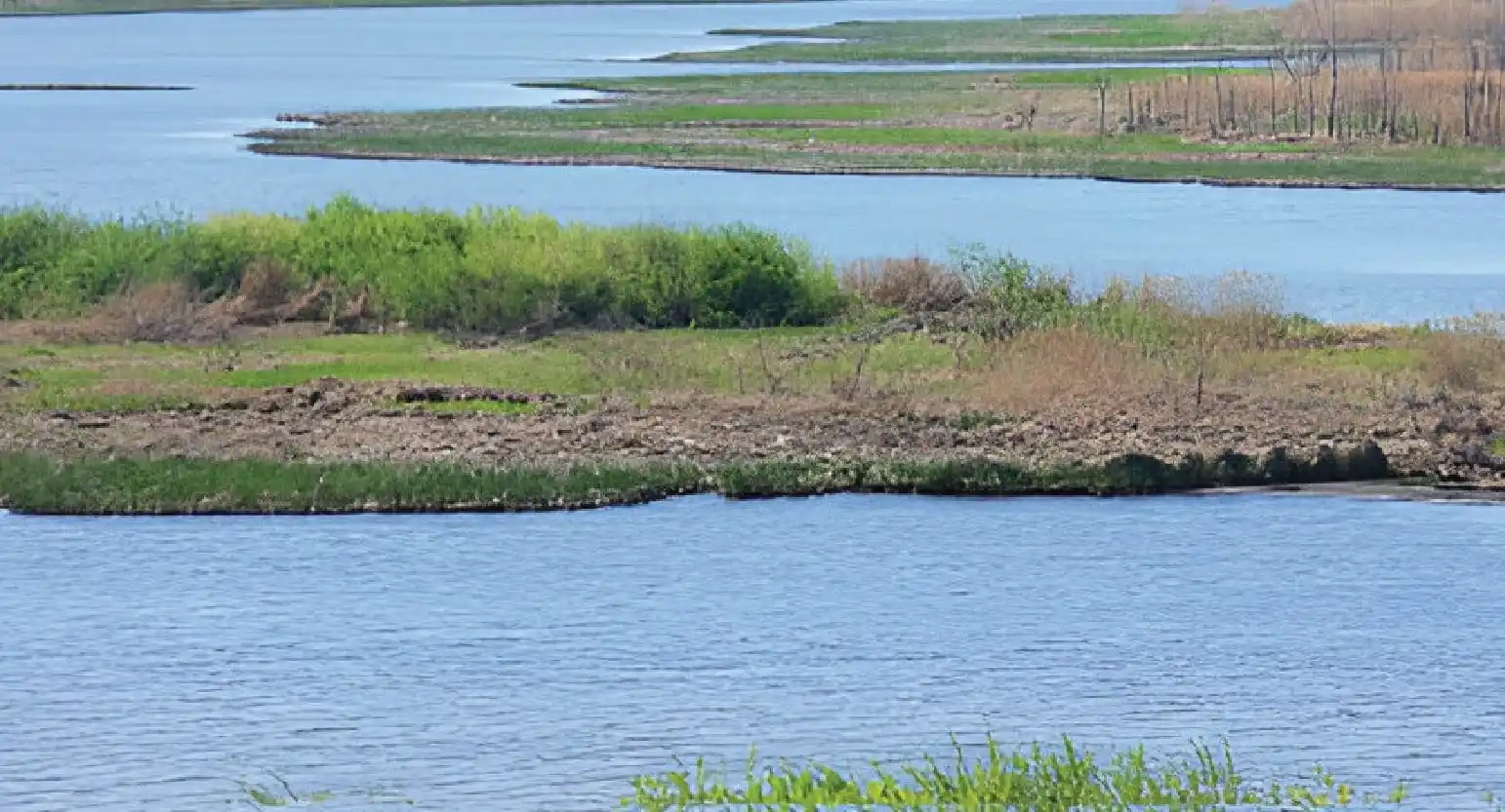 Watershed Management Strategies: Sustaining Water Resources and Ecosystems