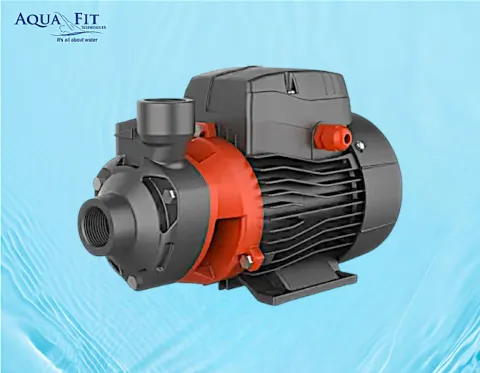 Lep cp pump-.5 hp
