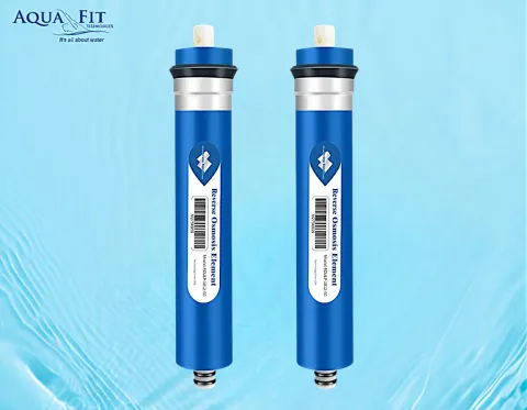 Pantas ro membrane-100gpd