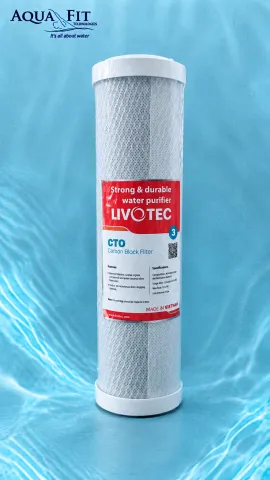 10'' CTO Filter-Livtec
