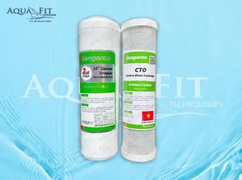 Kangaroo GAC and CTO Cartridge 10 Inch