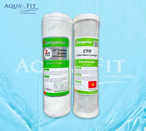 Kangaroo GAC and CTO Cartridge 10 Inch