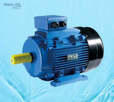 MS Three Phase Electric Motor