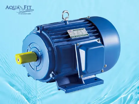Y Series Three Phase Electric Motor