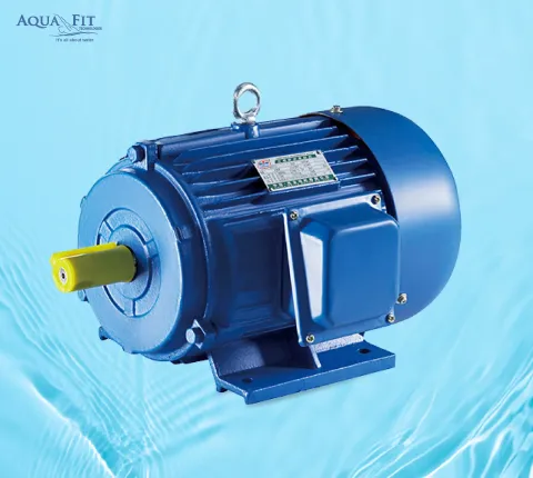 Y Series Three Phase Electric Motor