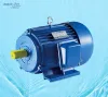 Y Series Three Phase Electric Motor
