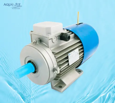 YEJ Series Electromagnetic Brake Motor