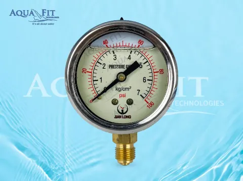 Jian Long Pressure Gauge