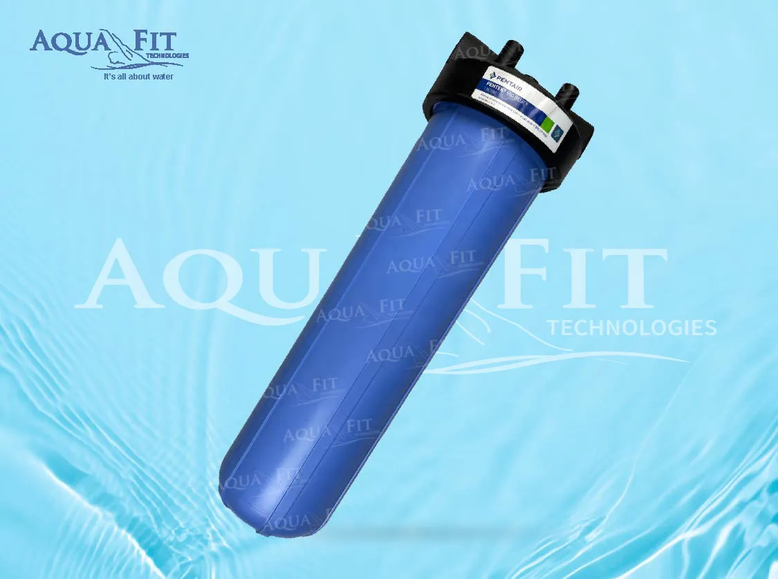 Pentair Pentek Big Blue Filter Housing